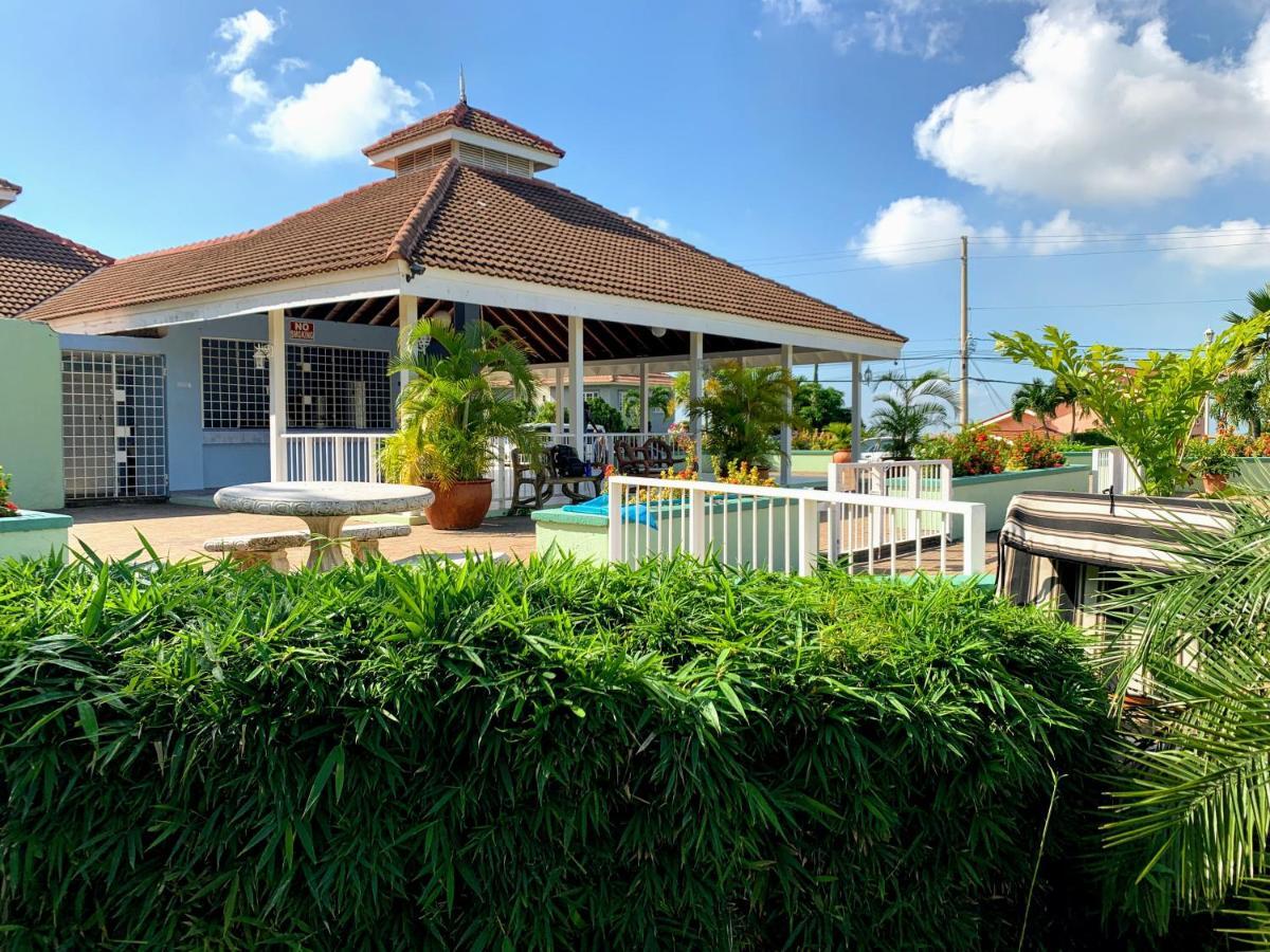 Bella Vista Villa Kingston Exteriör bild